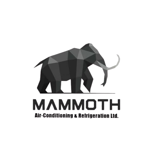 Mammoth Air team
